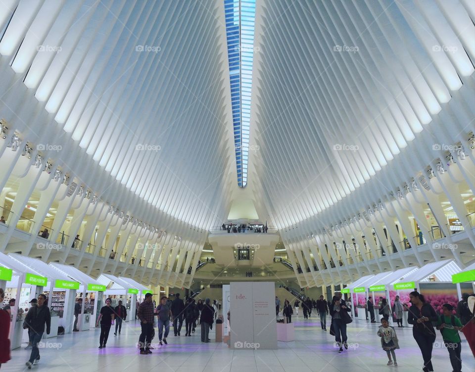 The Oculus