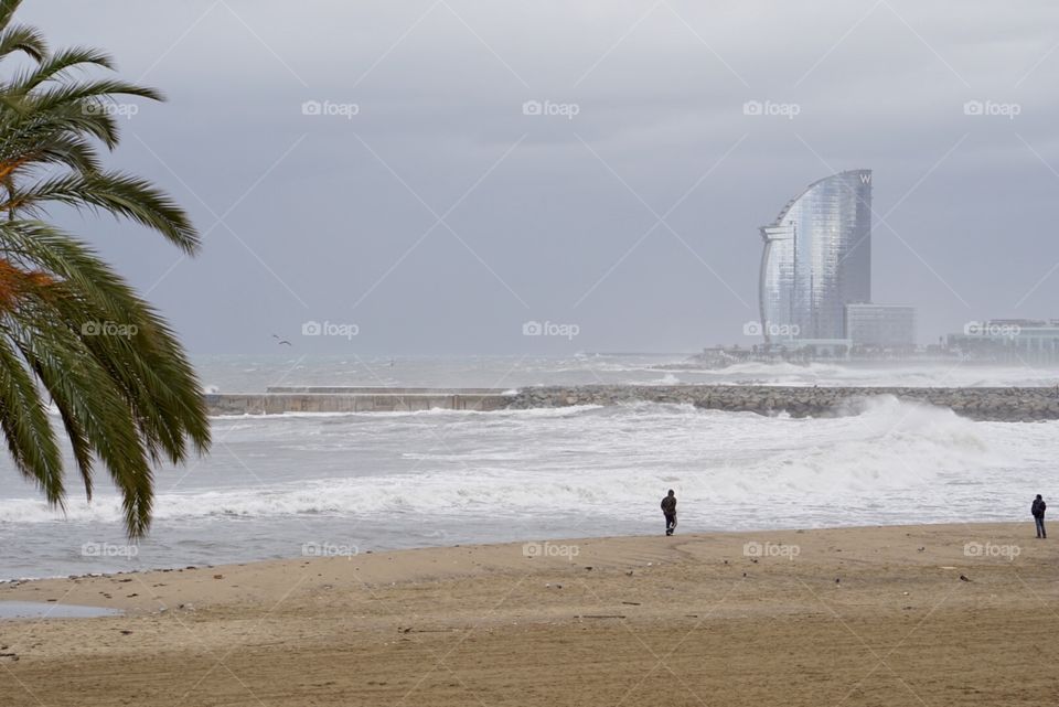 Mediterranean Winter