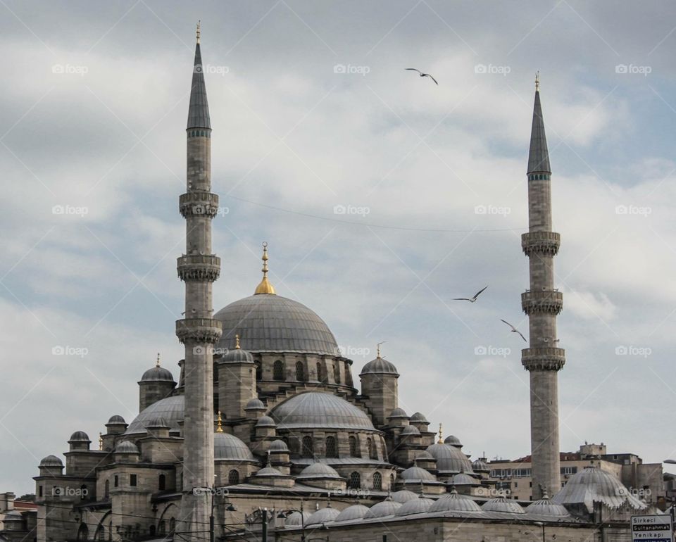 Istanbul Turkey - Mosque w/gulls 