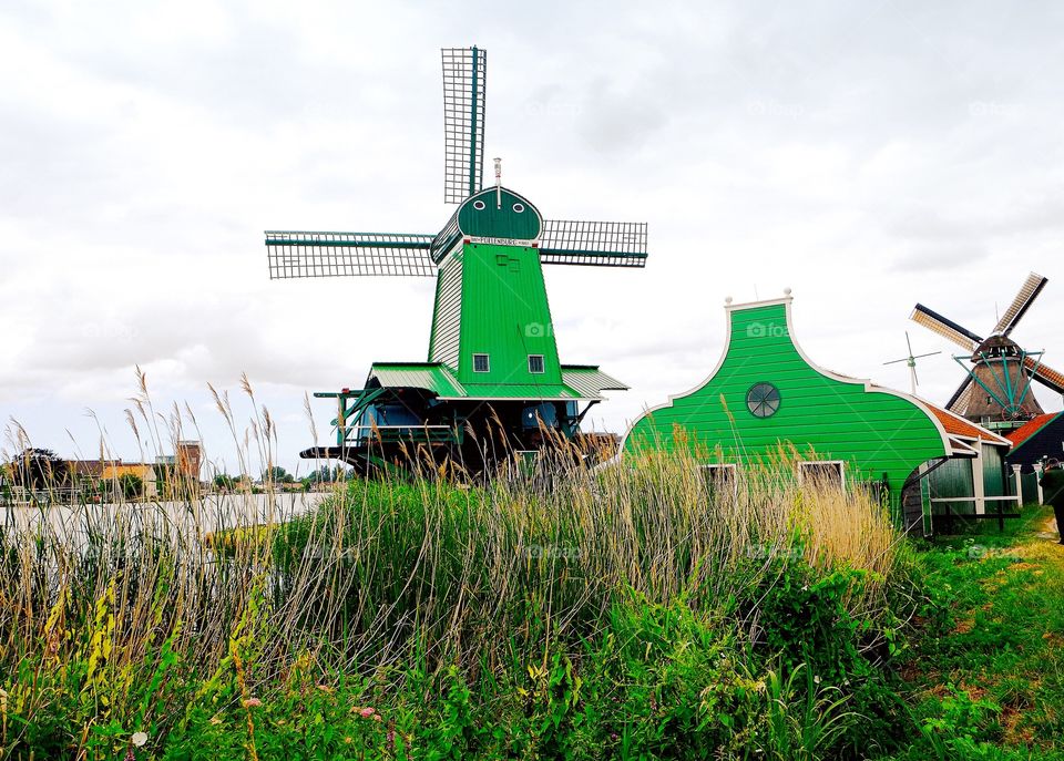 Traditional Dutch windmills