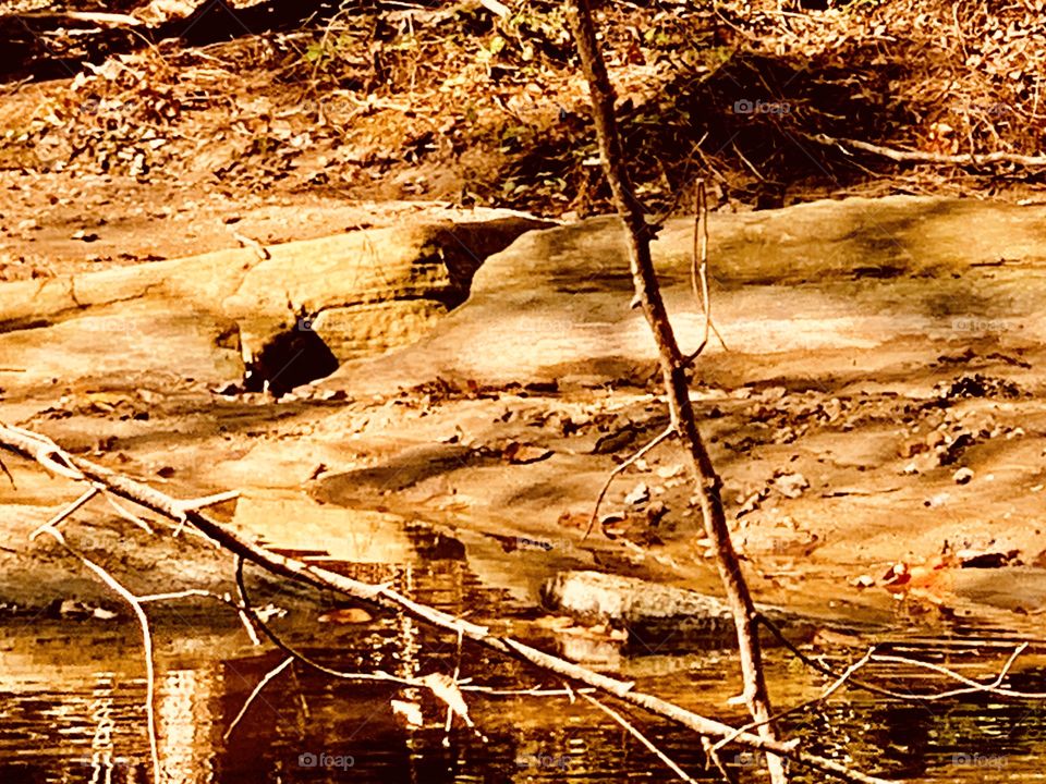 Wonderfull wizard of fallz 