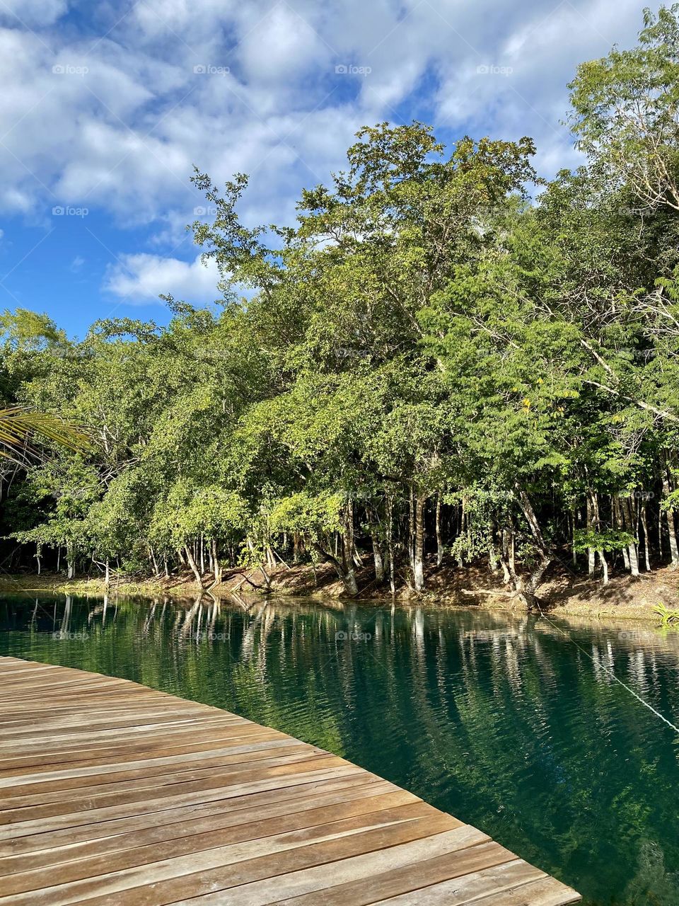 A wooden dock along a beautiful green river in Mexico