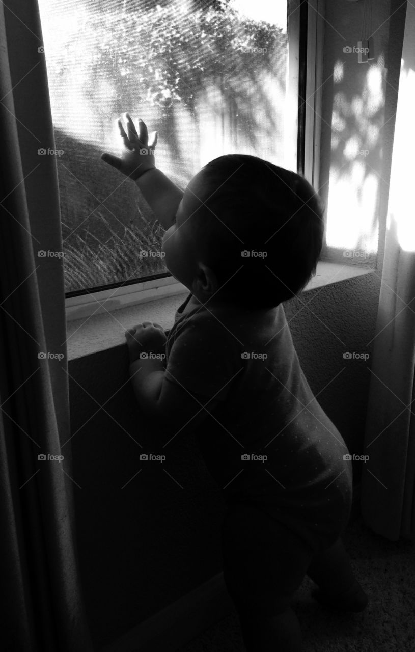 Black and White of a baby girl looking out the window
