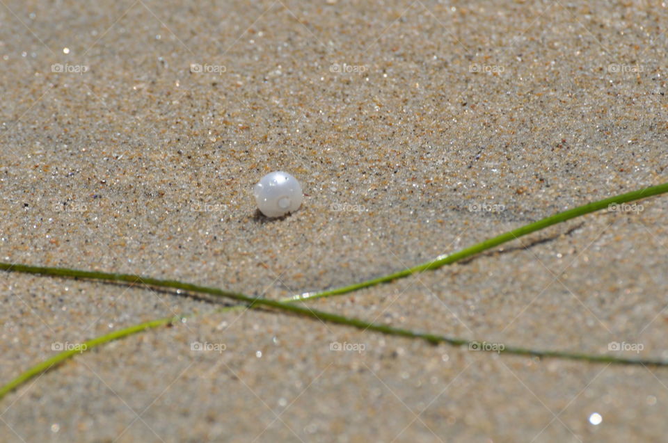 Pearl on the beach sand