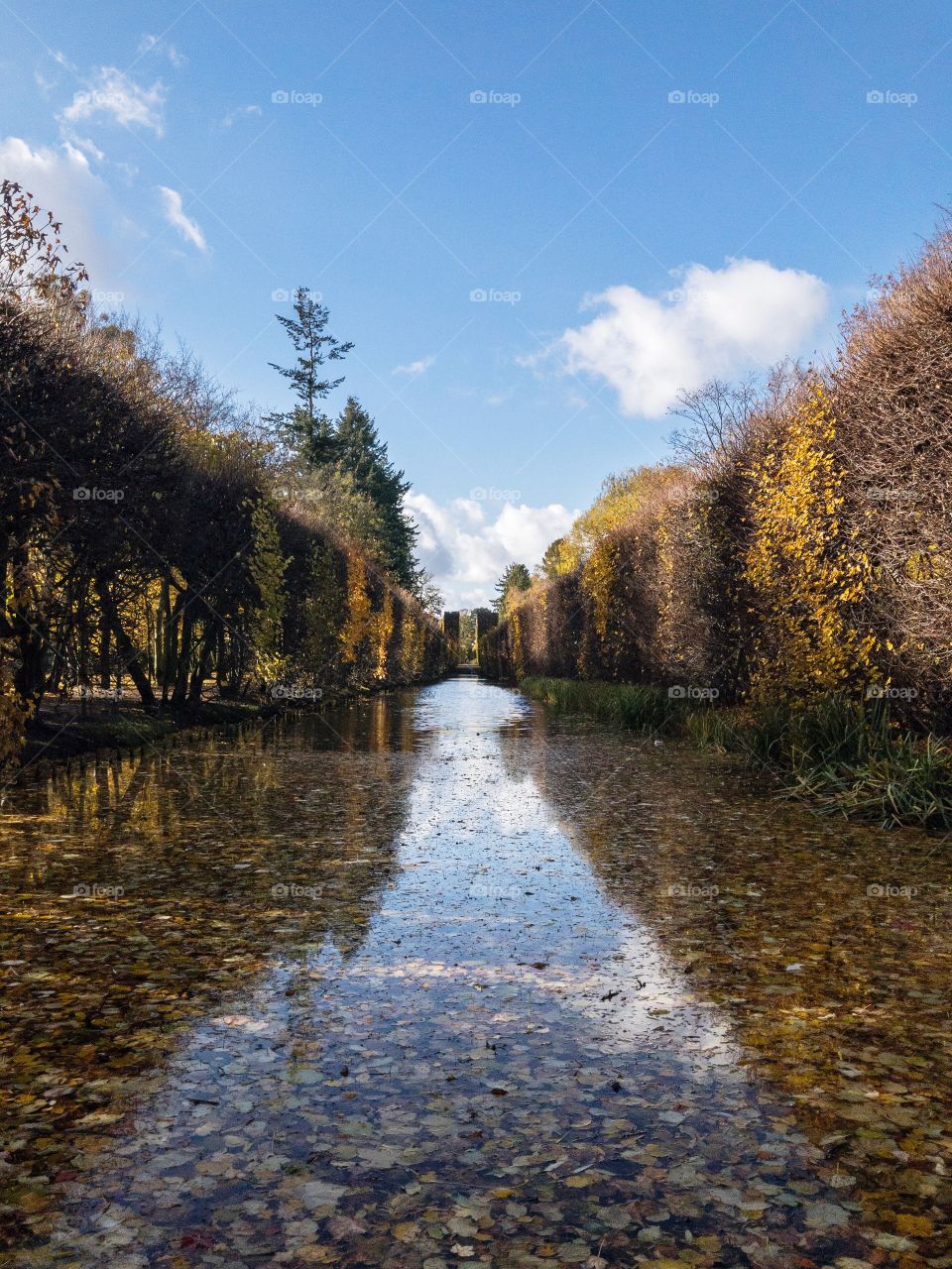 Park in autumn