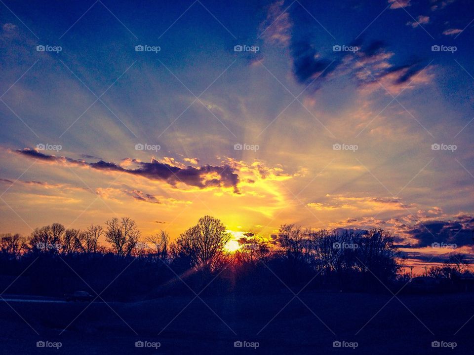 March sunset trees silhouette