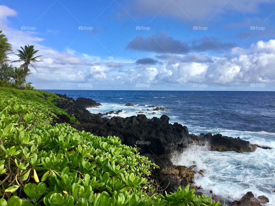 By the sea cliffs at Hawaiian Shores