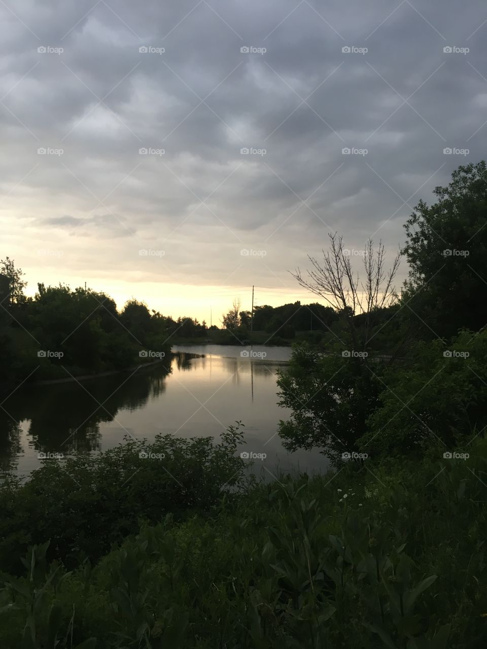 A beautiful sunset over looking a pond located in a neighbourhood.