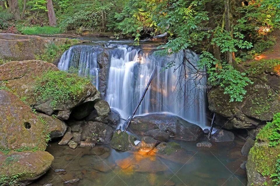 Whatcom Falls