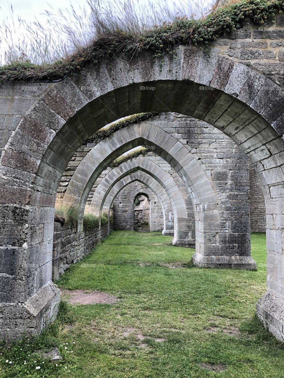 Alvastra monastery ruin