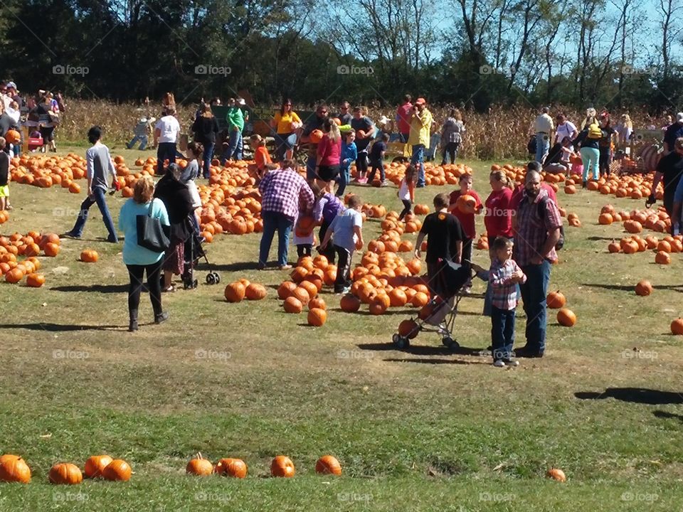 Crowd at the Pumpkin Patch