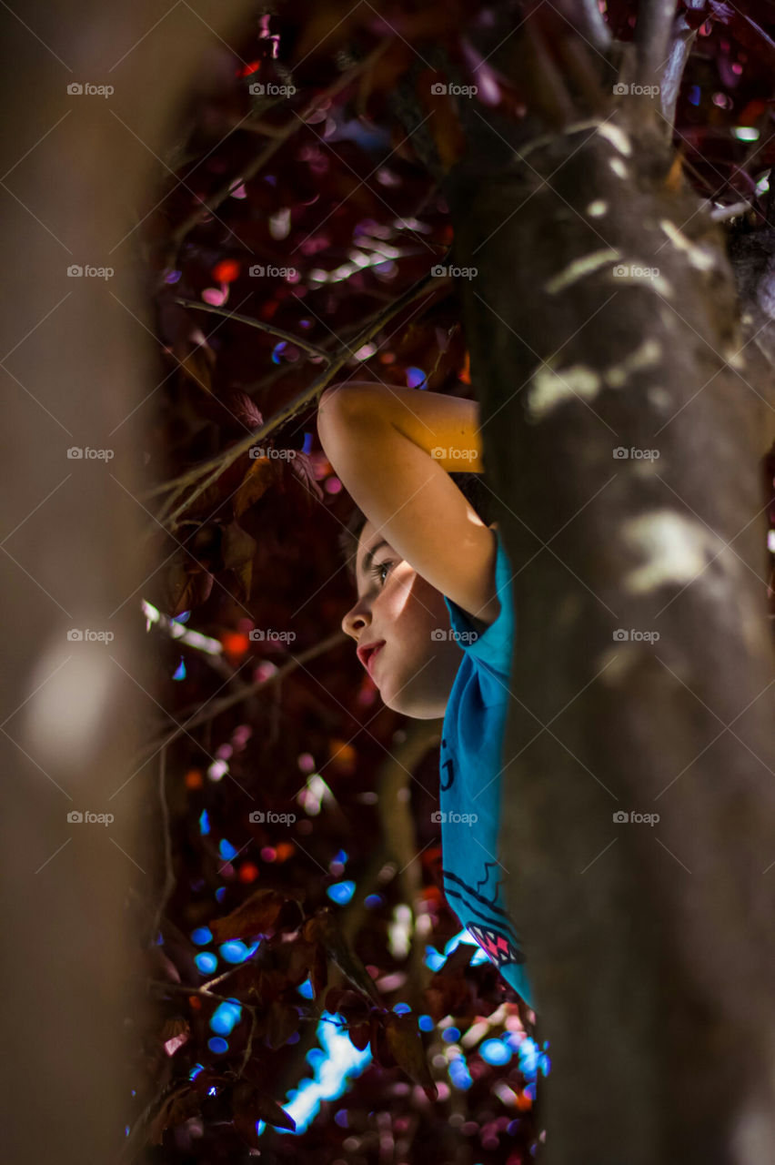 playing in the tree