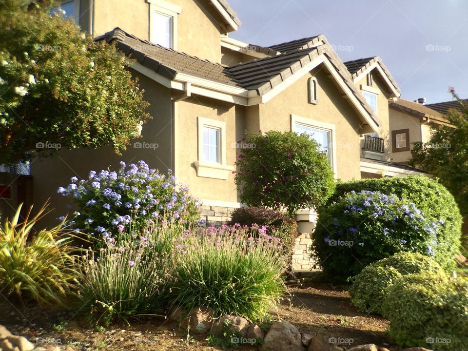 House and front yard 