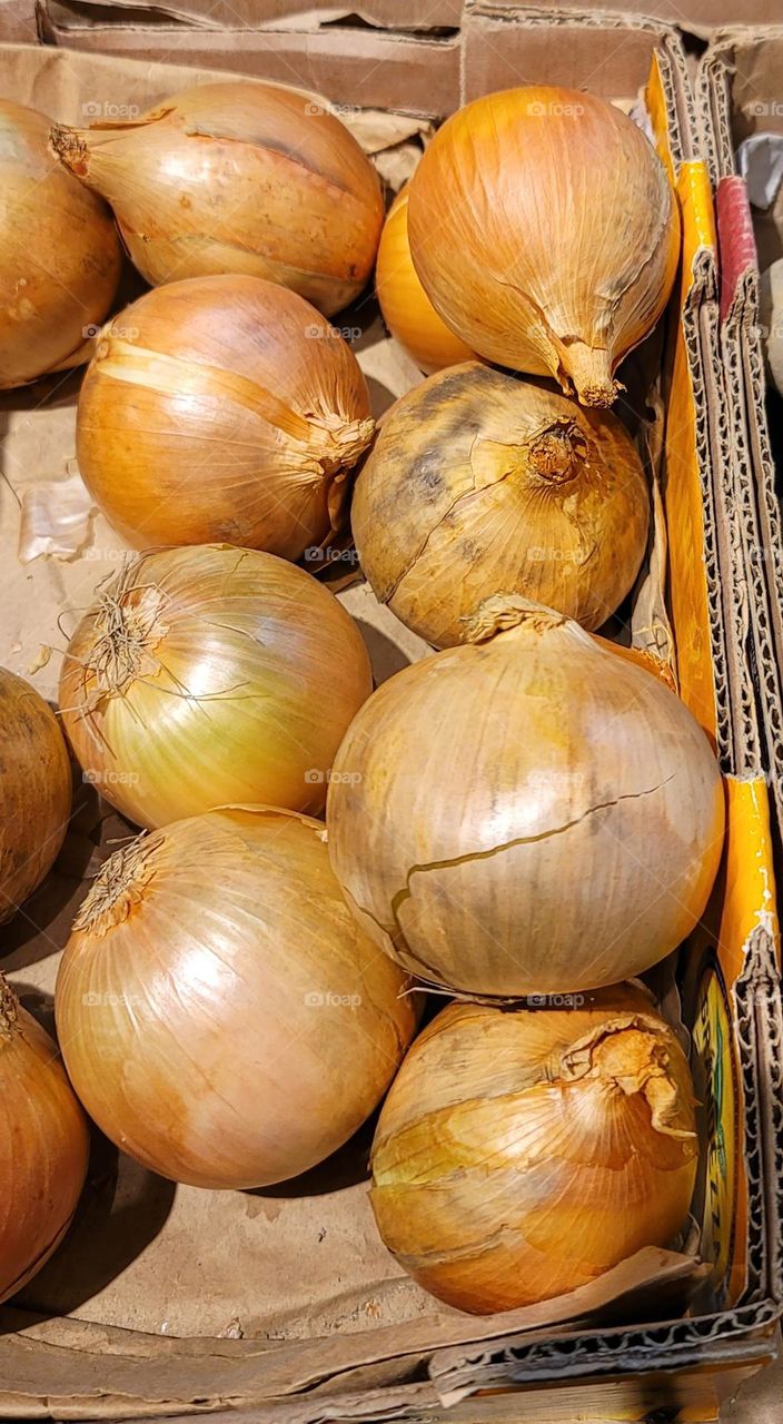 Onions in supermarket.