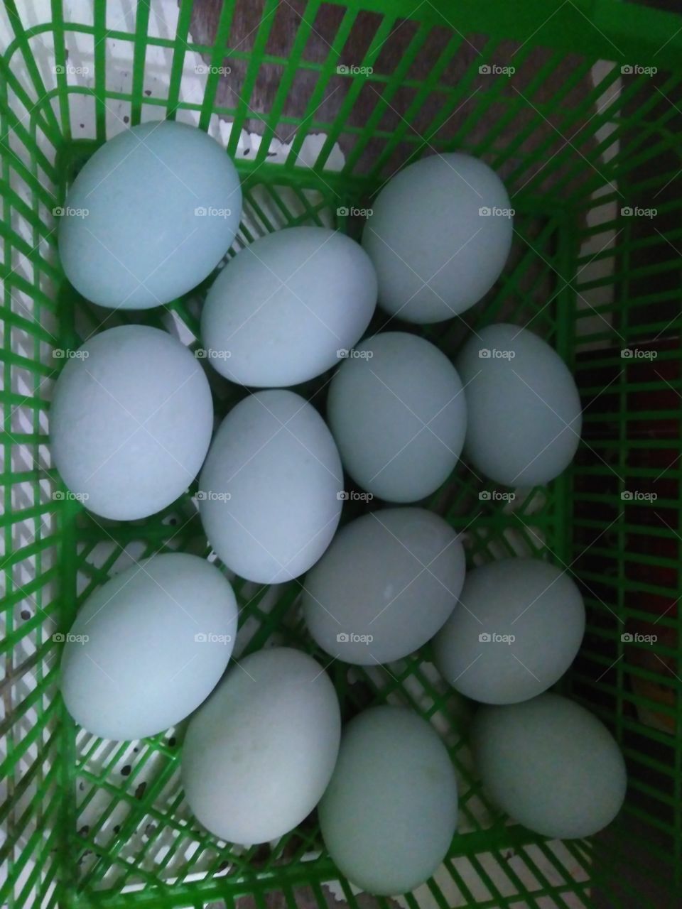 salt egg from indonesia