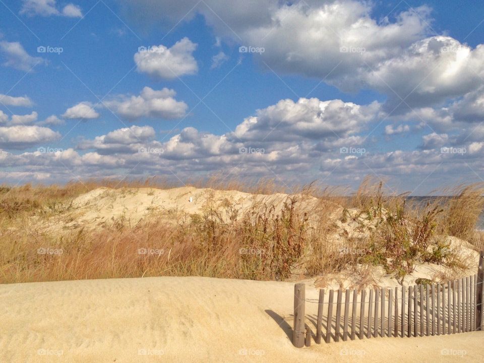 Sand dunes