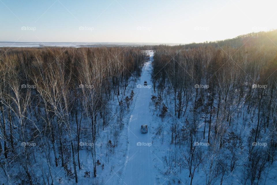 Старая Лесная дорога 