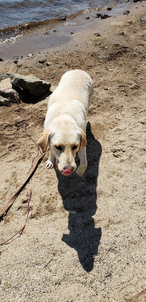 Ice house with the Dogo