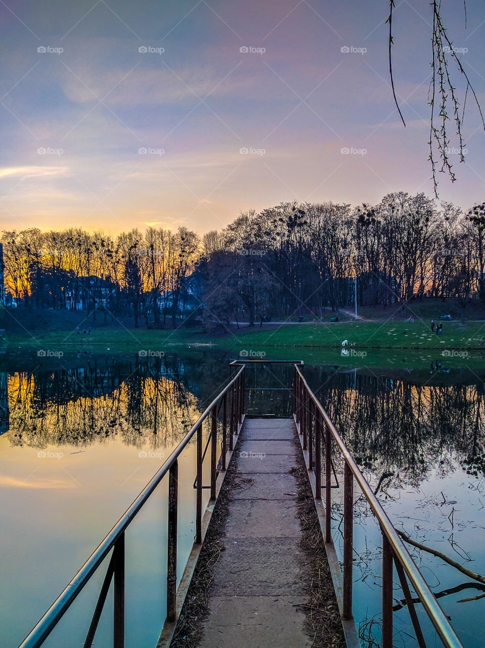 city park with lake in the spring season