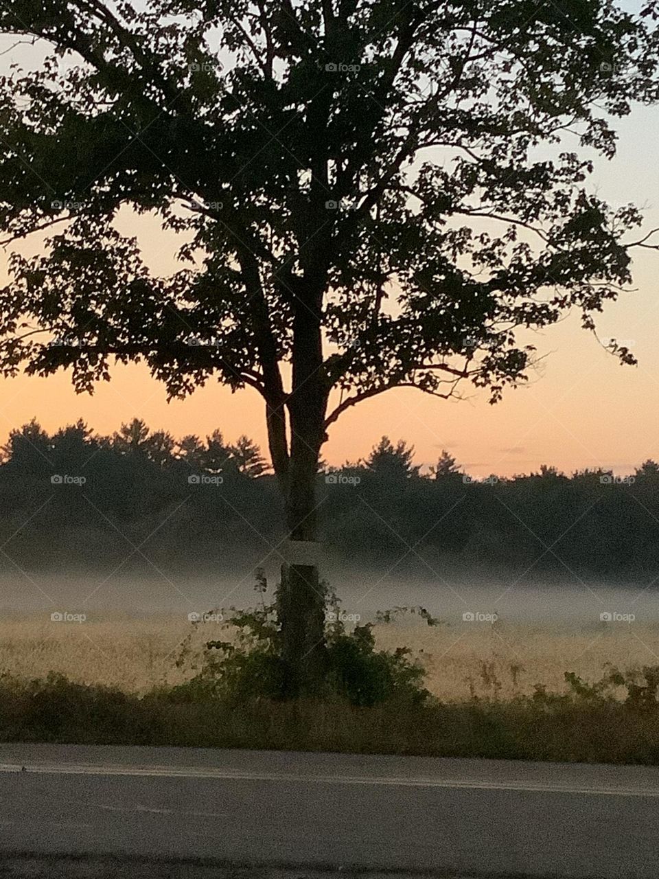 I woke up in my truck (thank God for that) with not a friend to be had and found this.  I suppose one friend 