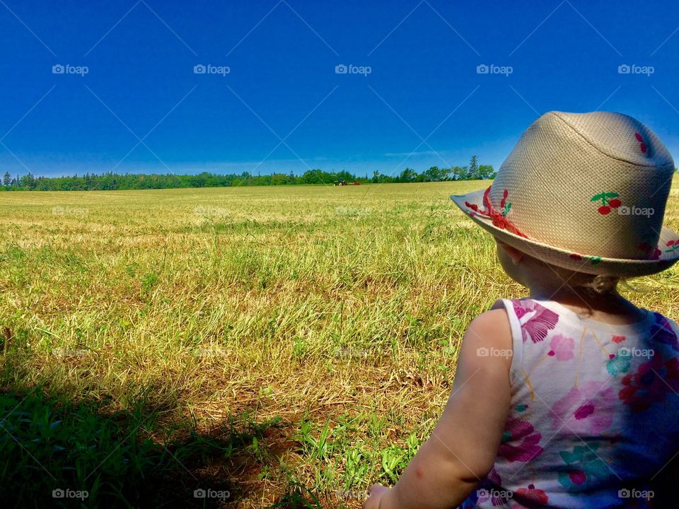 Toddler looking out at an open field 