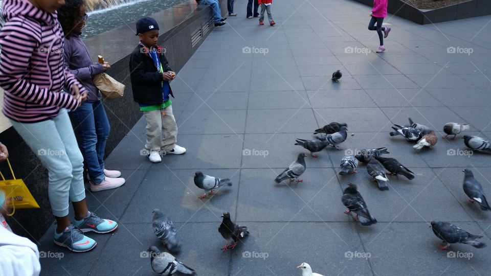 Children feeding pigeons outside in New York City.