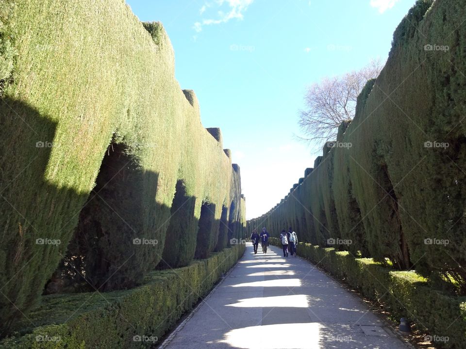 Alhambra in Granada, Spain