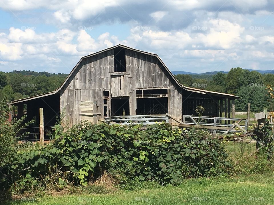   Barn