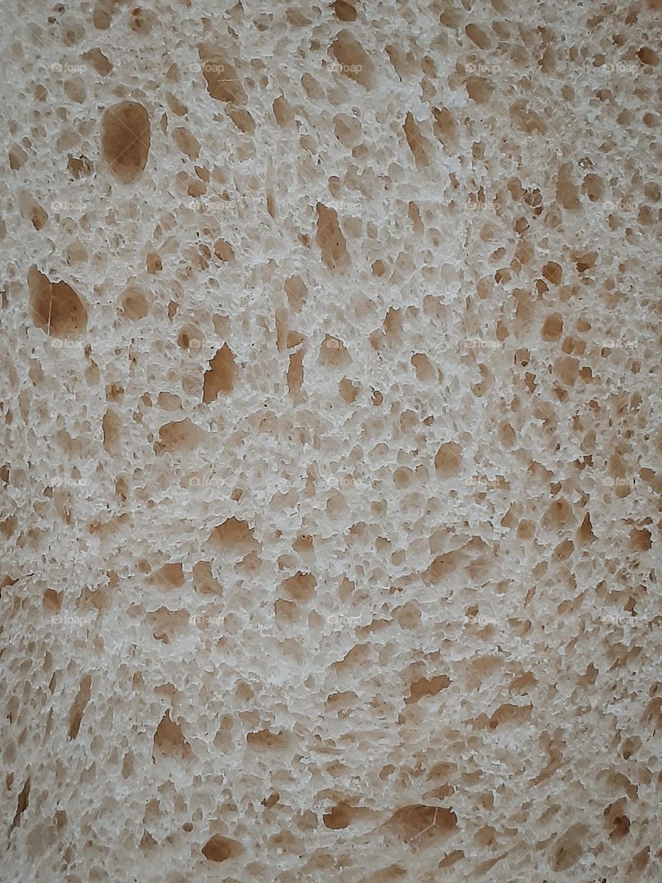 The structure of wheat bread