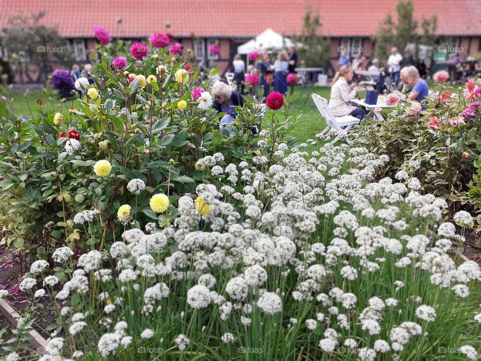lunch in the open air