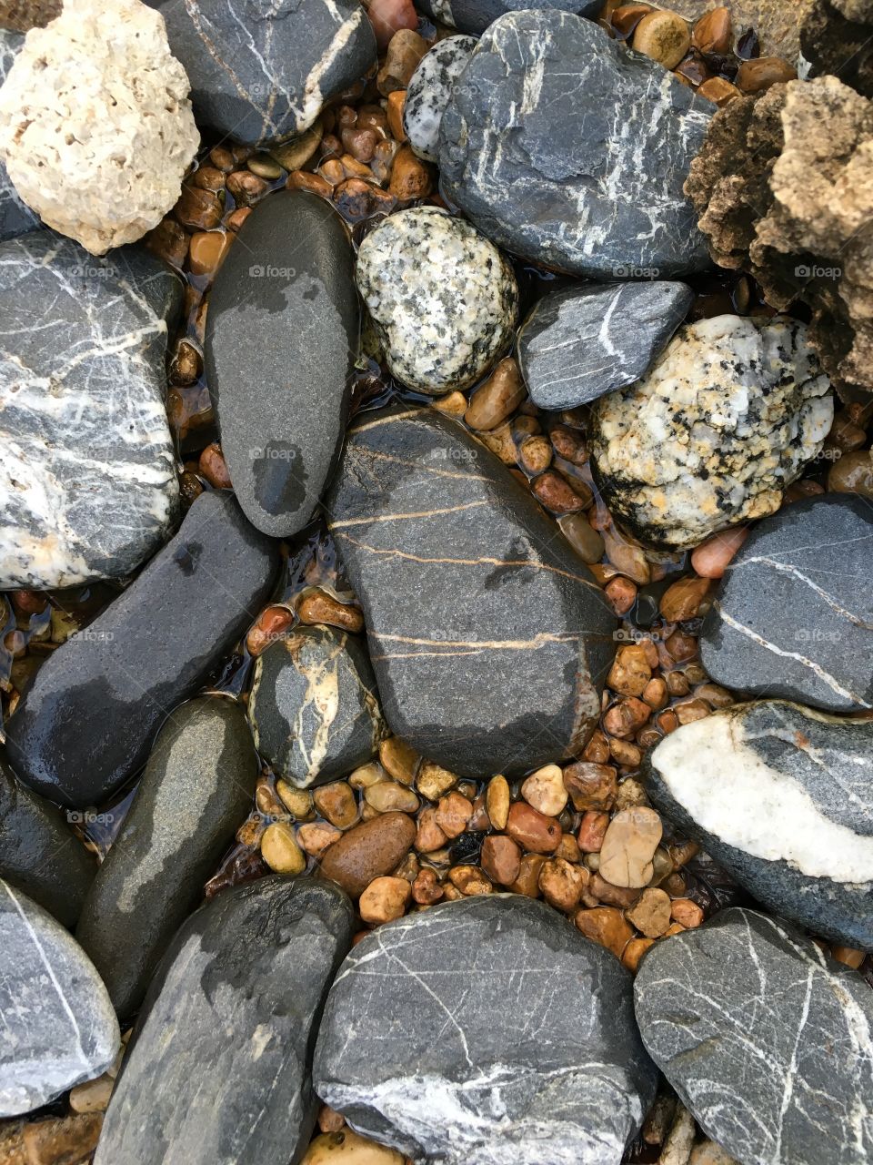 High angle view of a rock on the beach