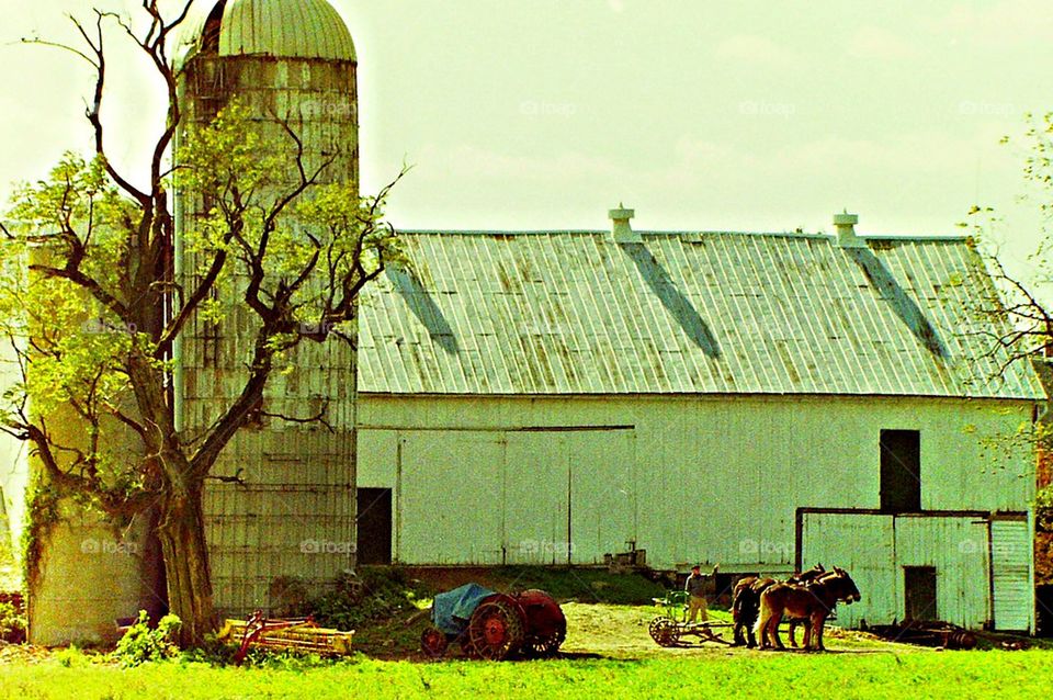 Amish Farm