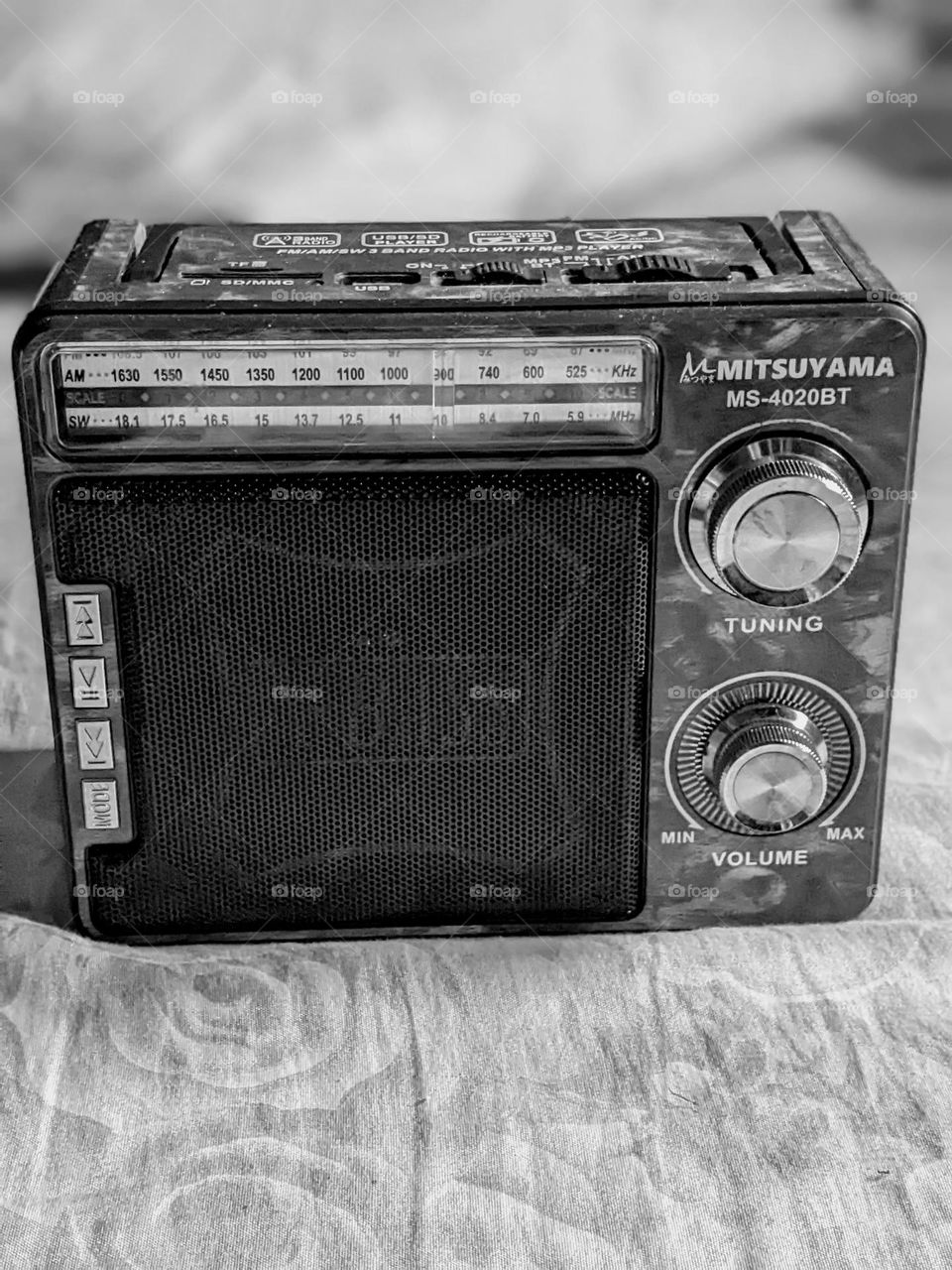 Classic portable radio