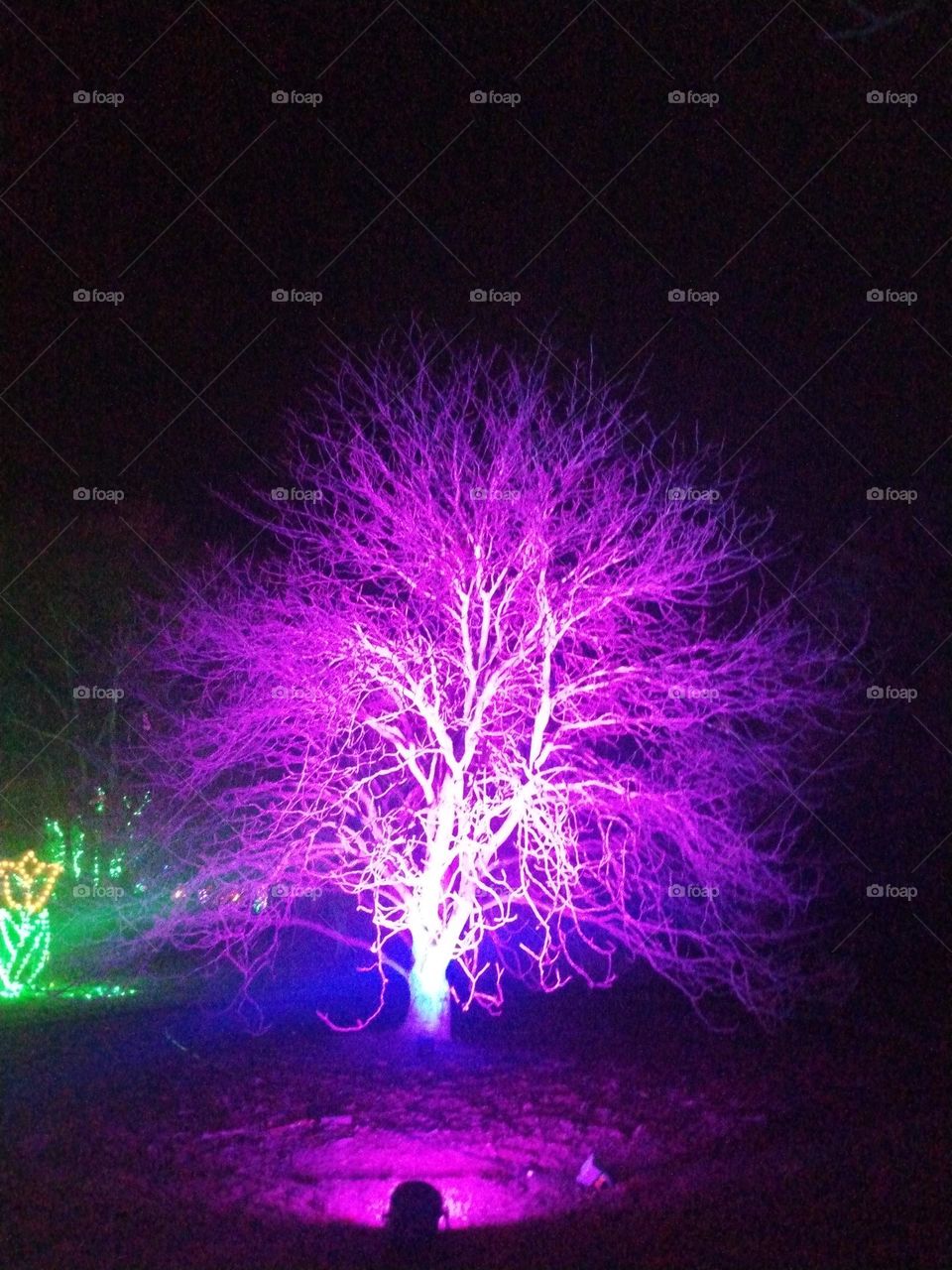 Pink tree lights
