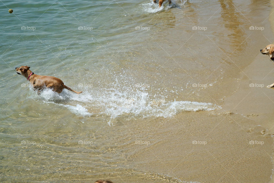 At the beach