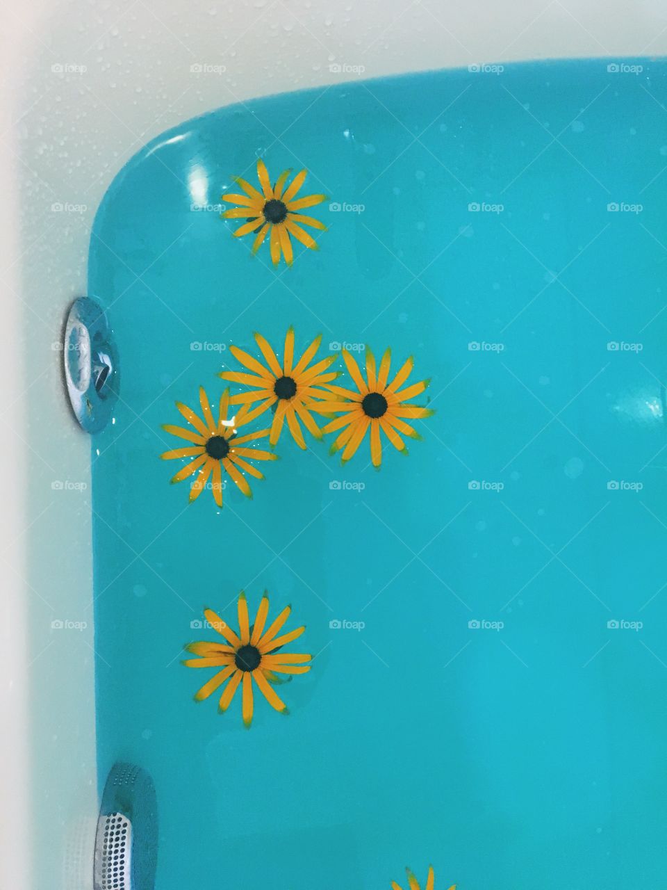 Flowers in a tub :)