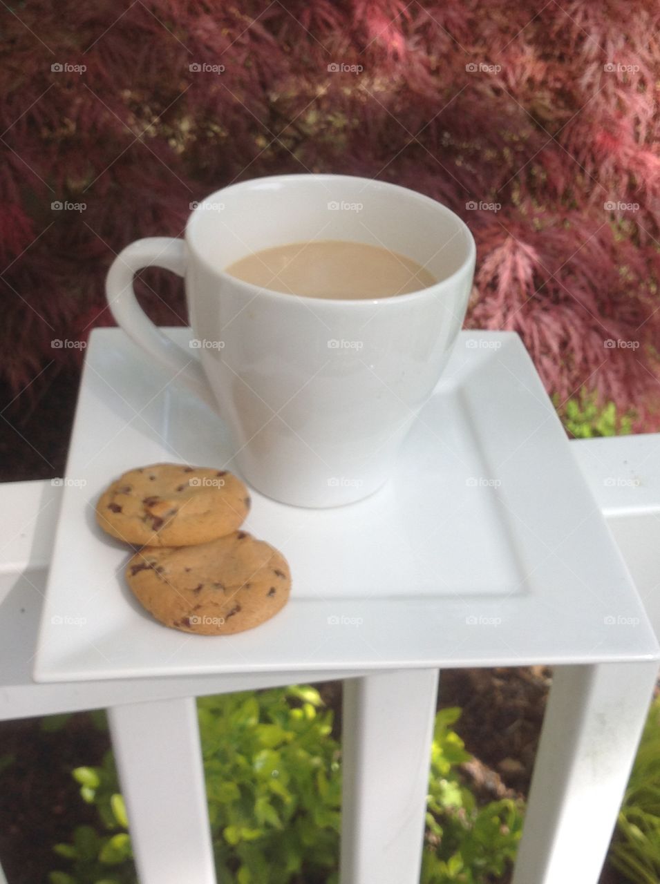 Enjoying a cup of coffee outdoors on a beautiful spring day.