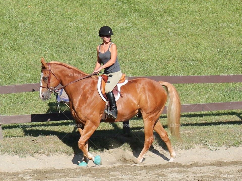 Going for a horse ride with a beautiful horse.