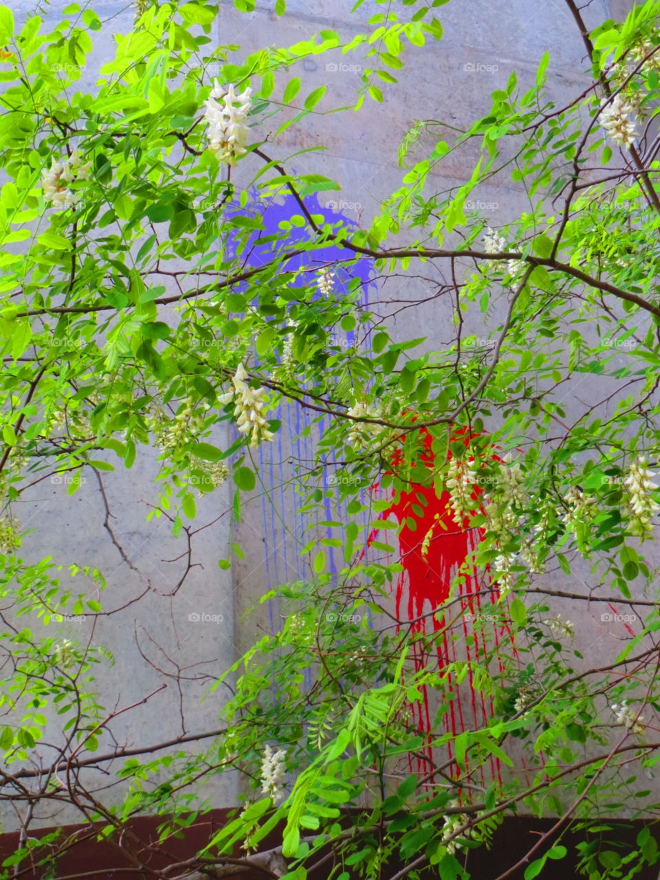 Graffiti?. Graffiti?