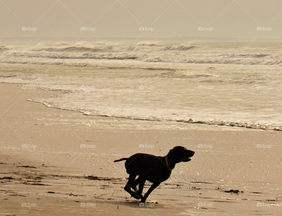 On the beach