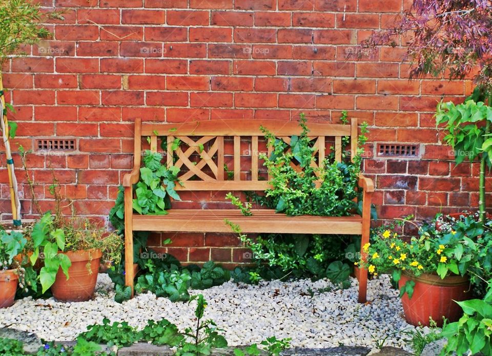 Bench and plants