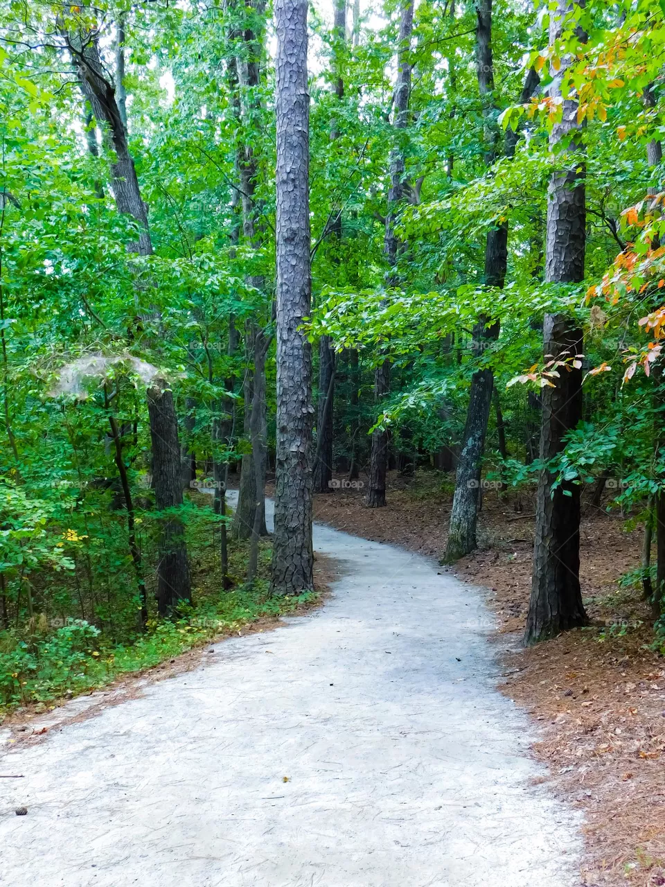Off the beaten path 