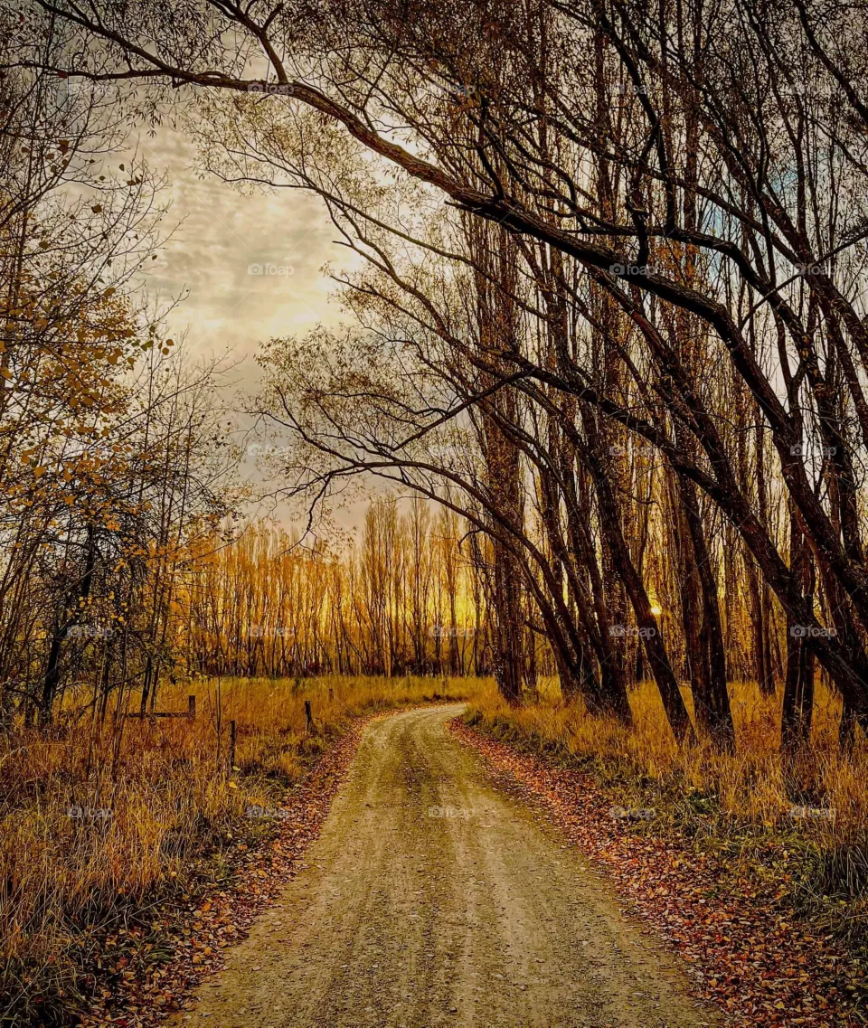 Autumn season 