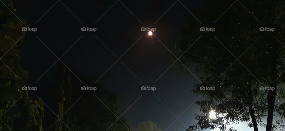 Full moon,night view