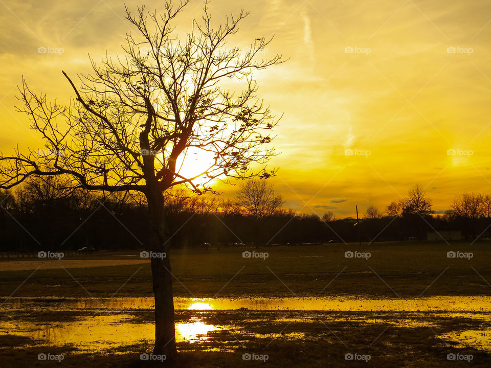 Sunset Light Reflections