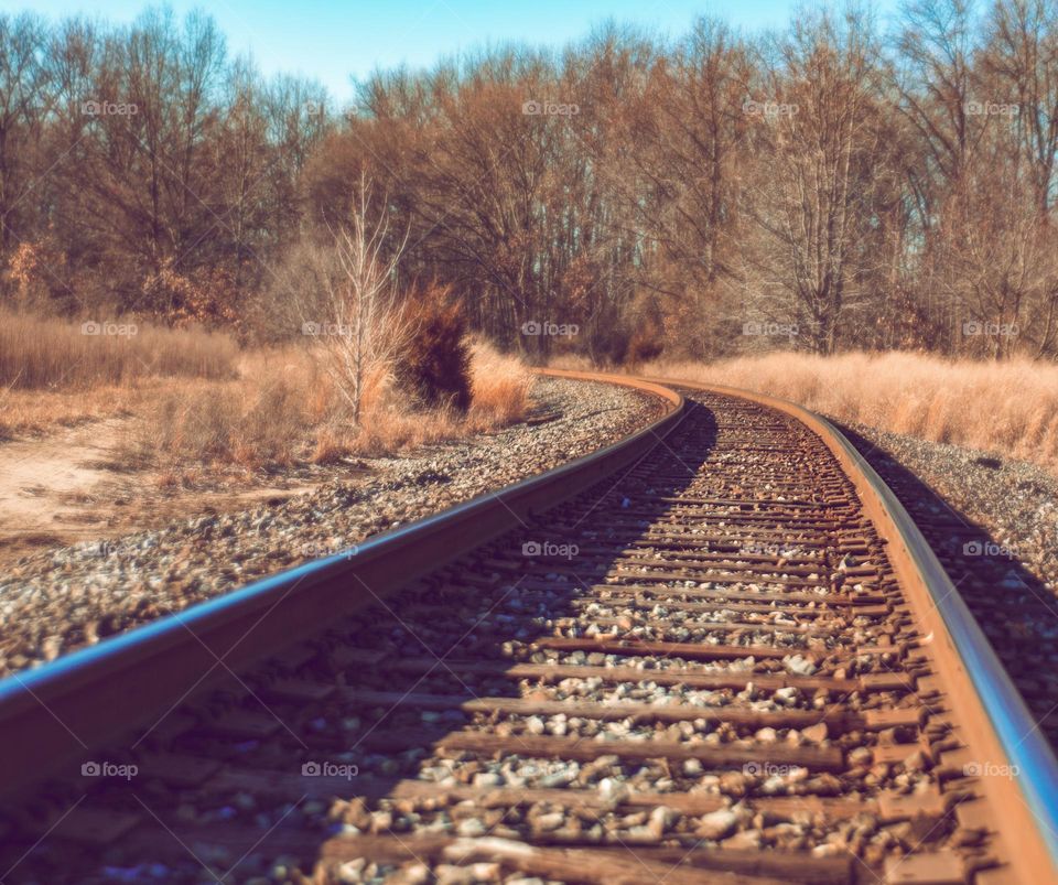 Railway in the forest