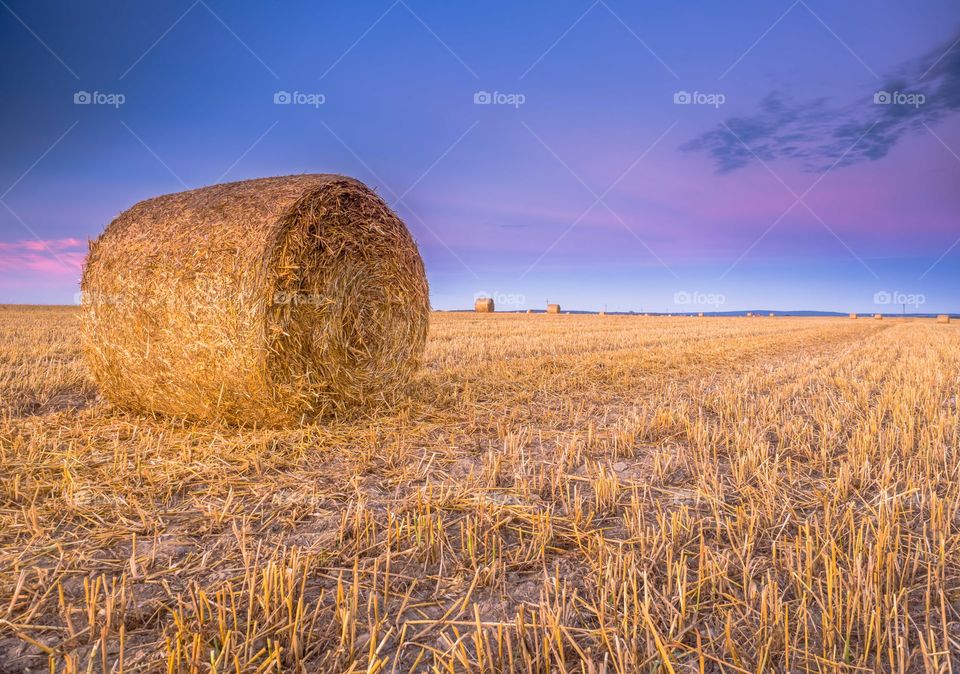 Osieczna, Leszno, Poland