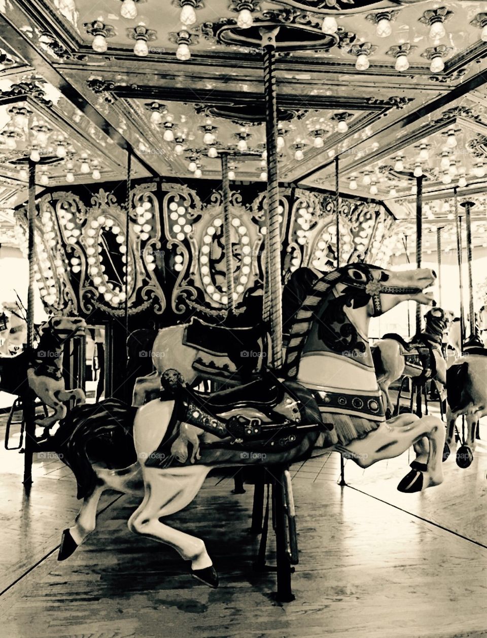 Carousel Rides