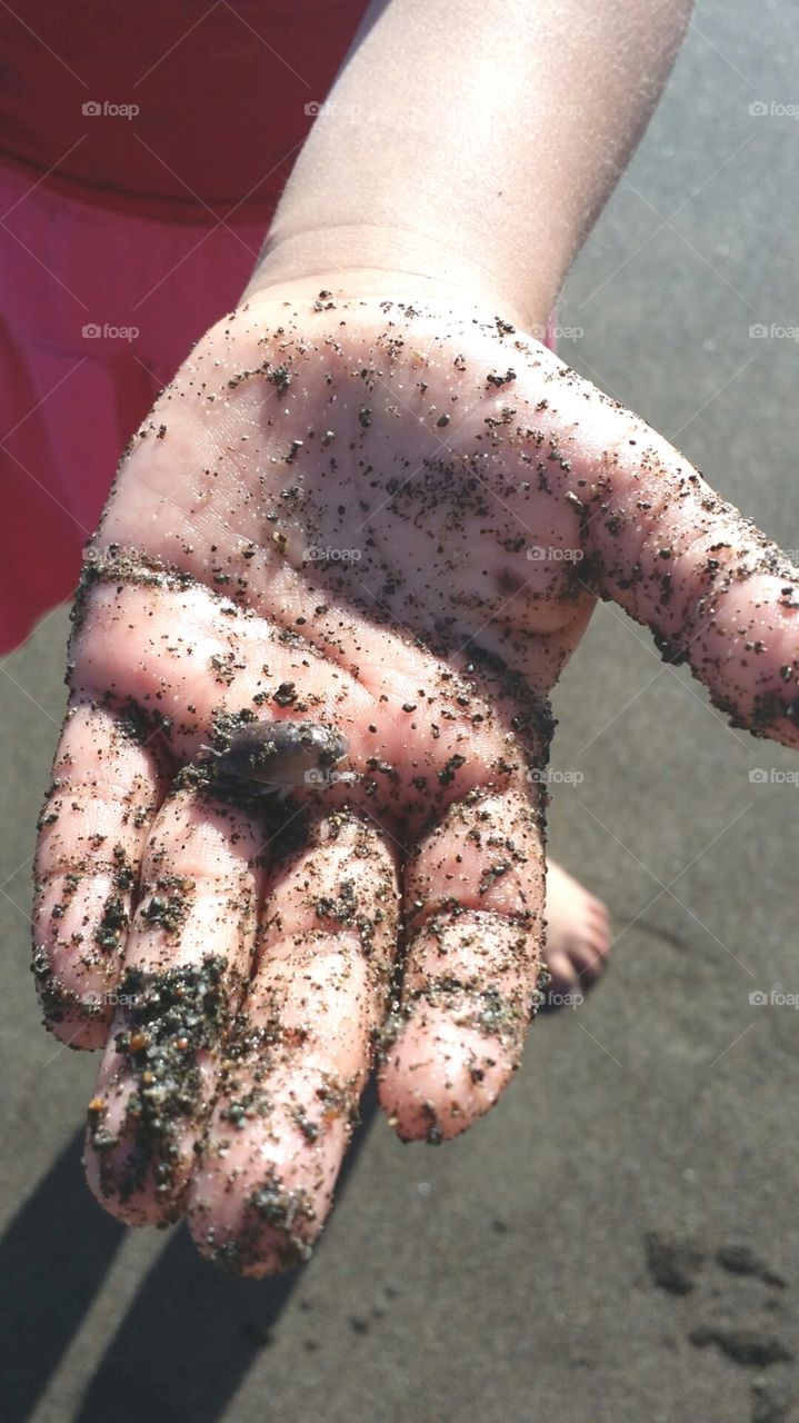 Joy of the beach