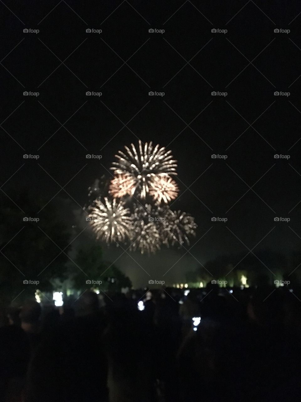 Fireworks at Versailles